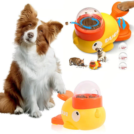 Dog with a yellow and orange duck-shaped pet toy on a white background