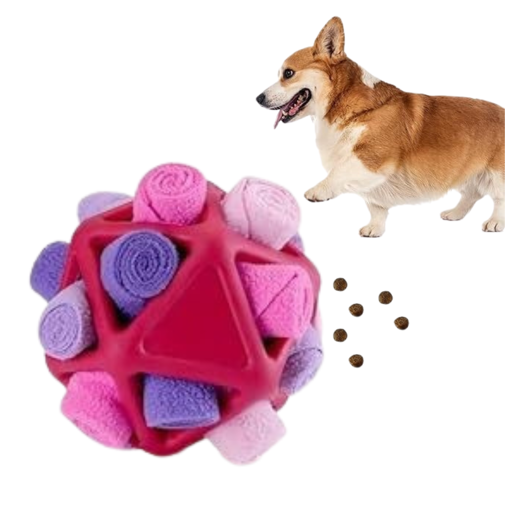 Pink and purple dog toy with a corgi and scattered treats on a white background
