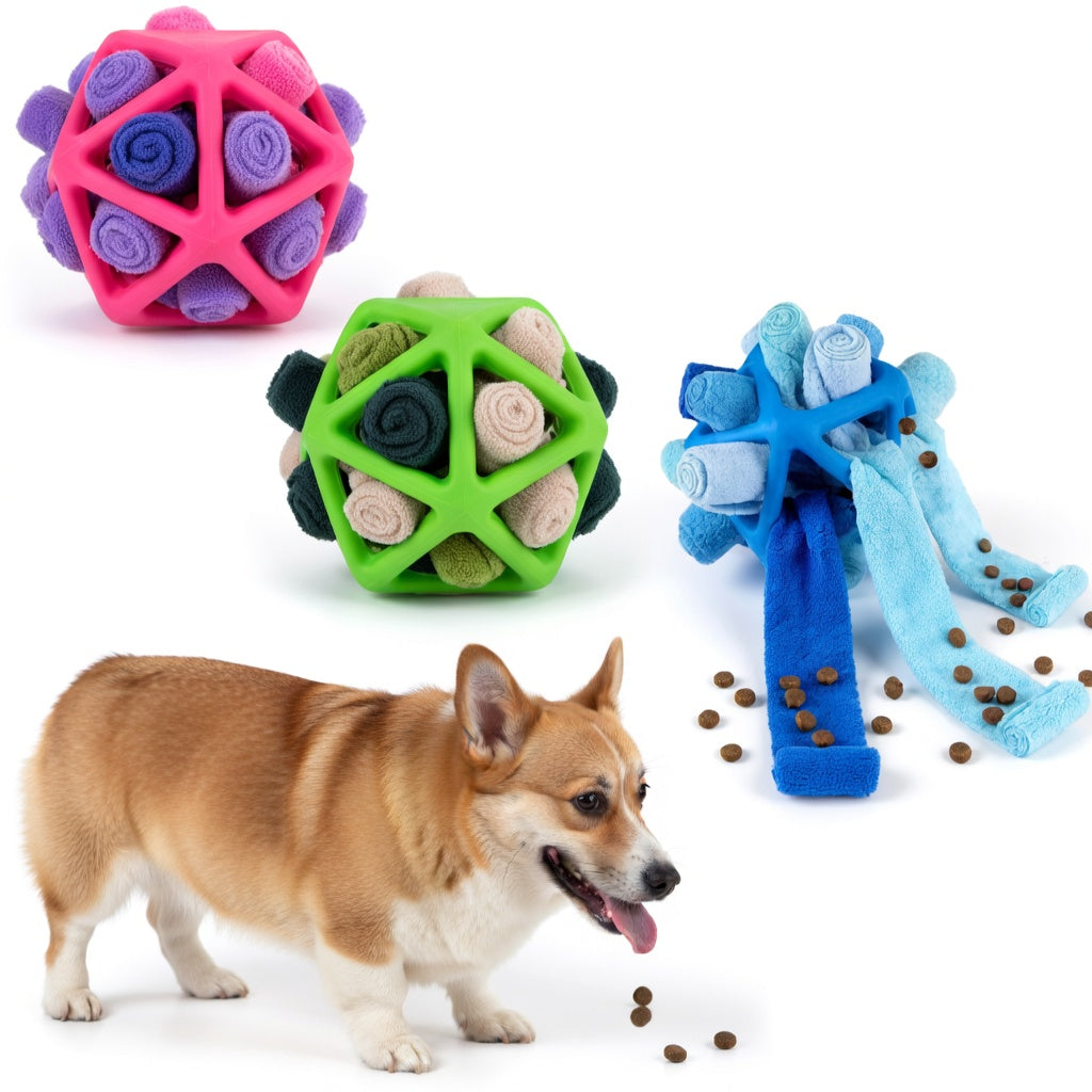 Dog playing with three Dog Treat Sniffing Ball