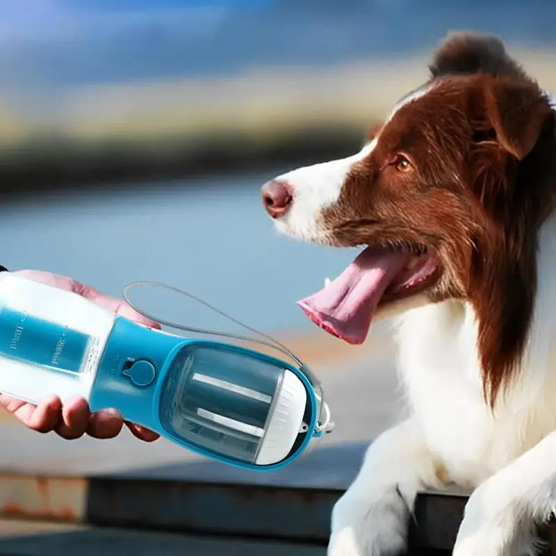 Dog with a blue and white Dog Water Bottle — Filter, Food & Bags by a body of water