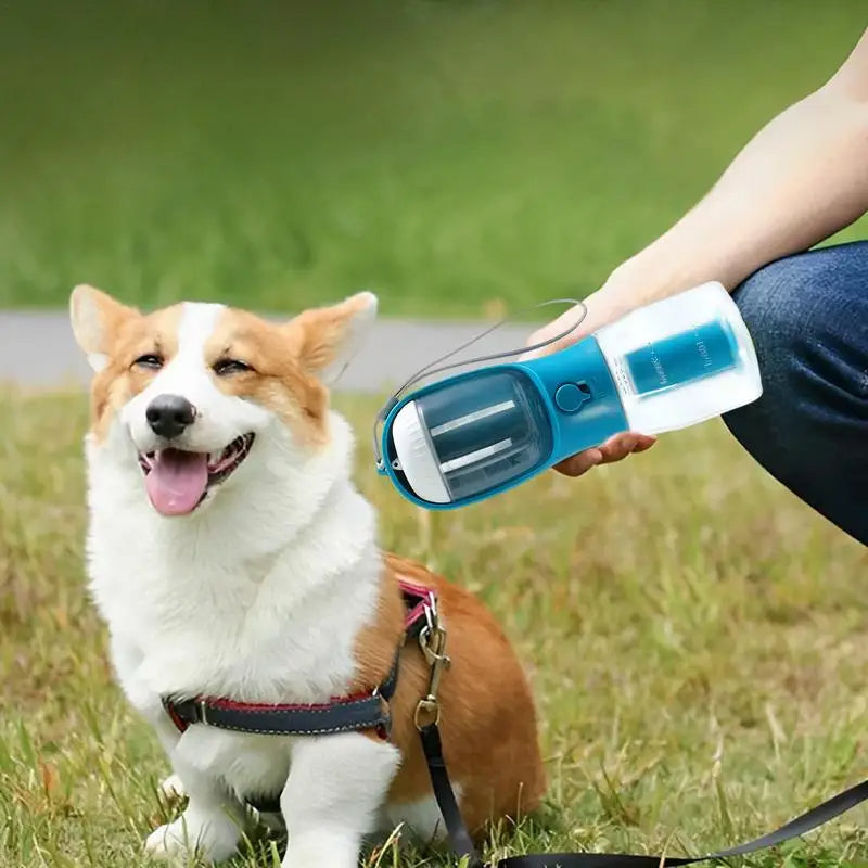 Dog being petted by a person holding a blue and white Dog Water Bottle — Filter, Food & Bags in a grassy outdoor setting