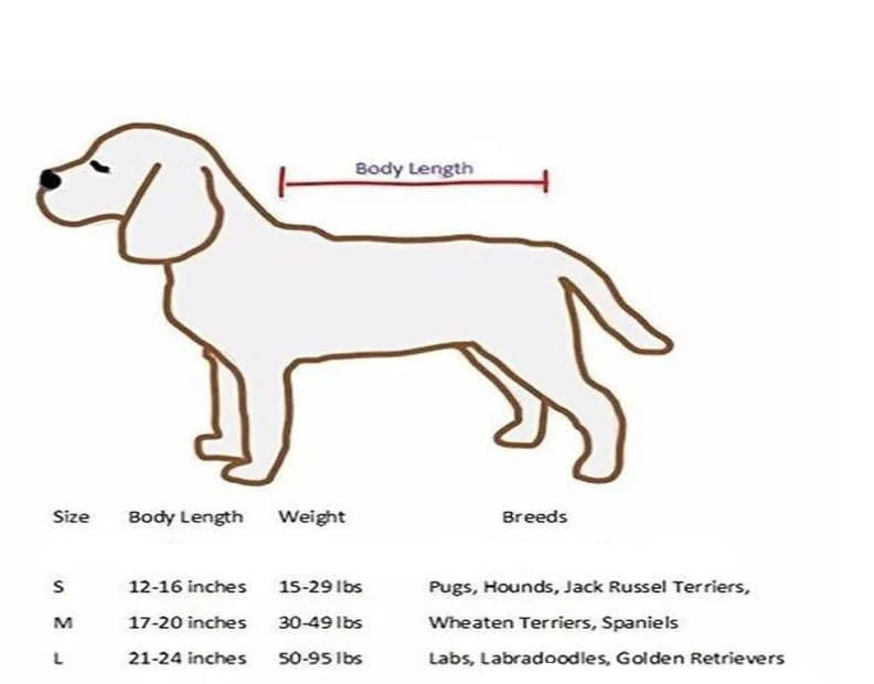 dog dryer sizes body length