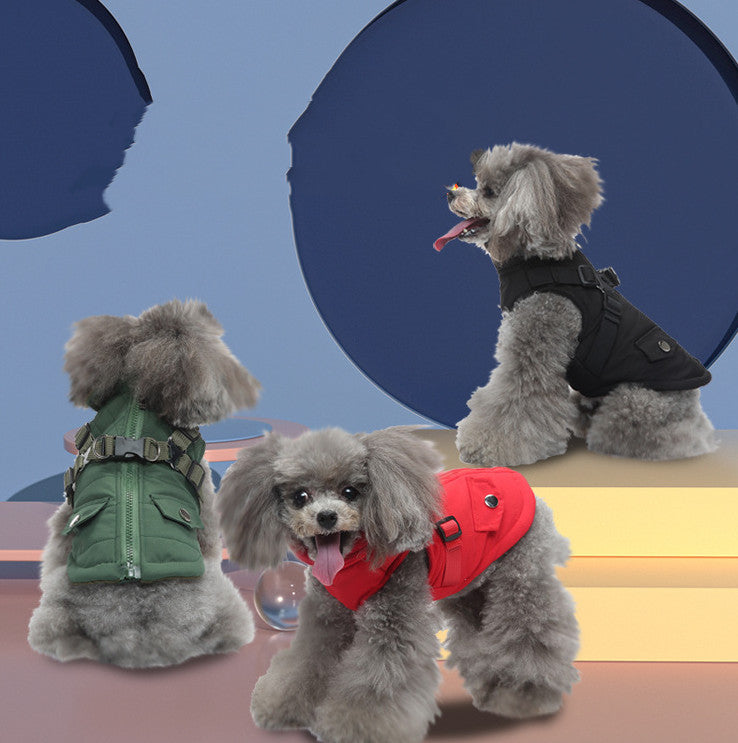 Three dogs dressed in cozy winter cotton jackets, showcasing different colors of the Pet Winter Cotton Dog Jacket.