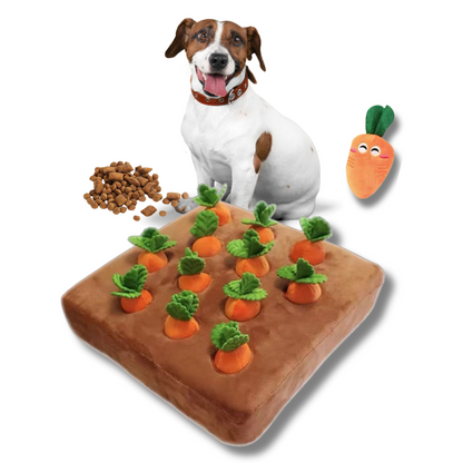 Dog with a carrot-shaped toy and a treat puzzle on a white background