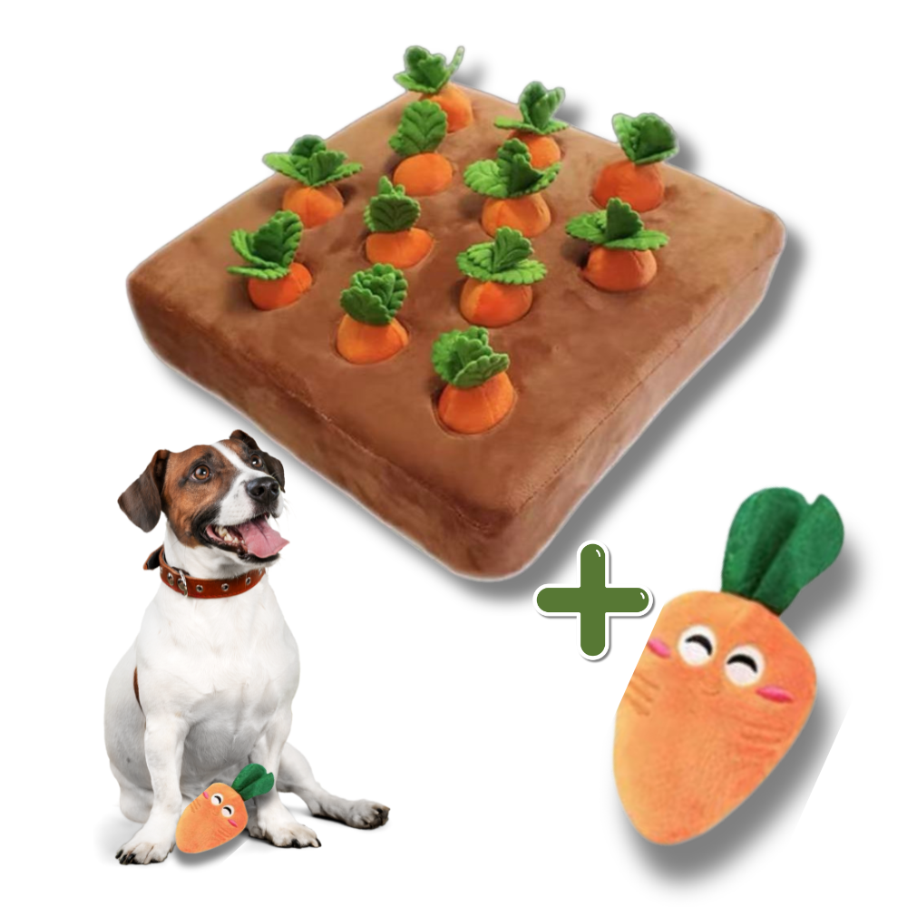 Dog toy set with a plush mat and carrot-shaped toys on a white background