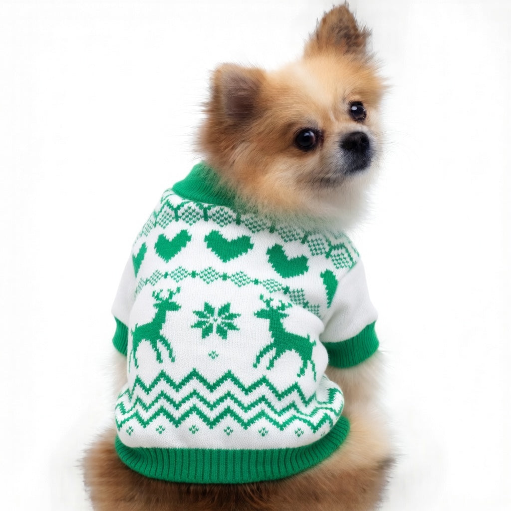Small dog wearing a green and white Festive Pet Christmas Outfit with reindeer patterns on a white background