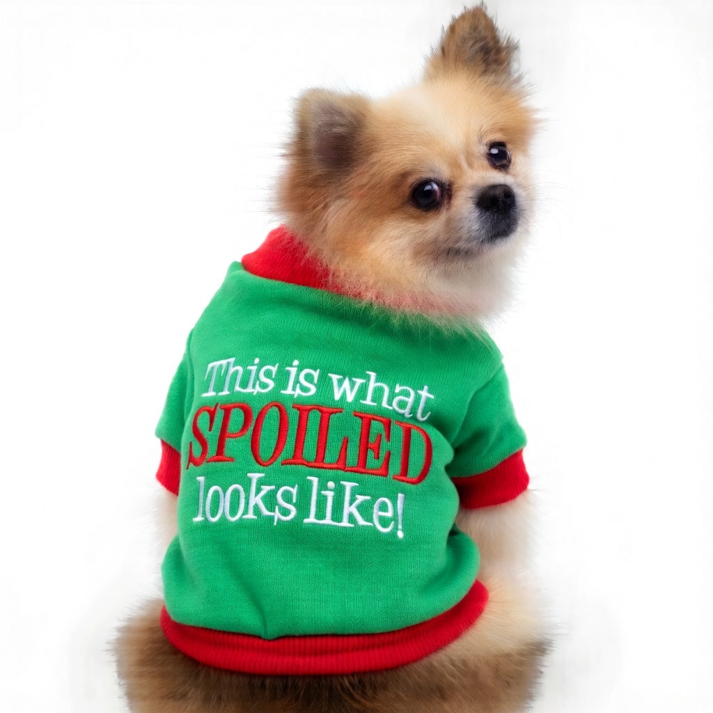 Dog wearing a green Festive Pet Christmas Outfit with text on a white background