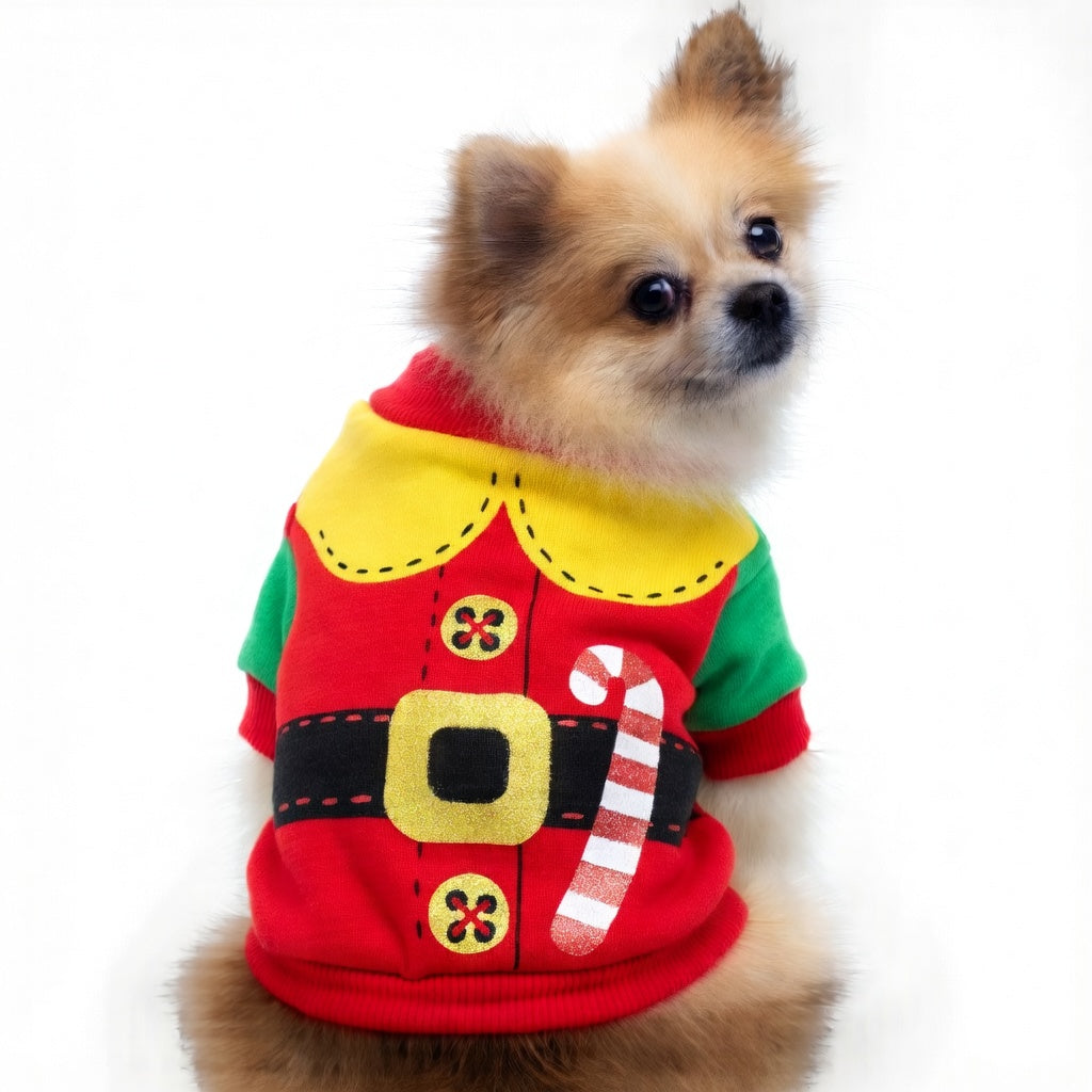 Small dog wearing a Festive Pet Christmas Outfit with candy cane design on a white background