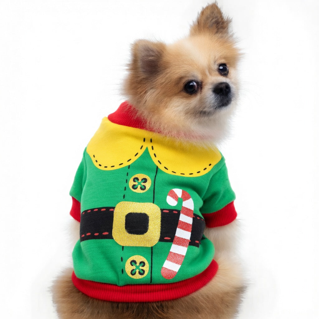 Dog wearing a colorful Festive Pet Christmas Outfit with a candy cane on a white background