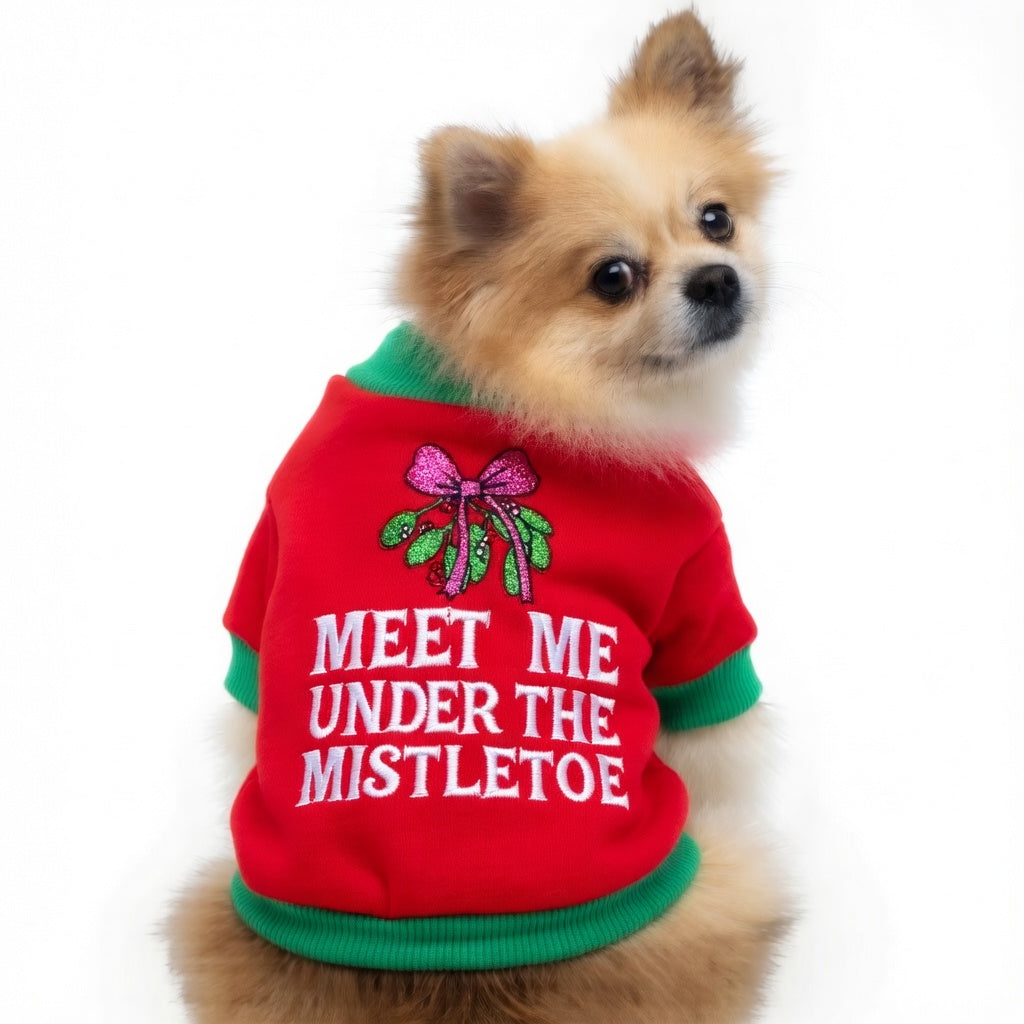 Dog wearing a red Festive Pet Christmas Outfit with 'Meet Me Under the Mistletoe' text and a bow design.