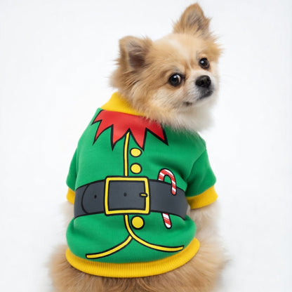 Dog wearing a green elf Festive Pet Christmas Outfit with a candy cane on a white background