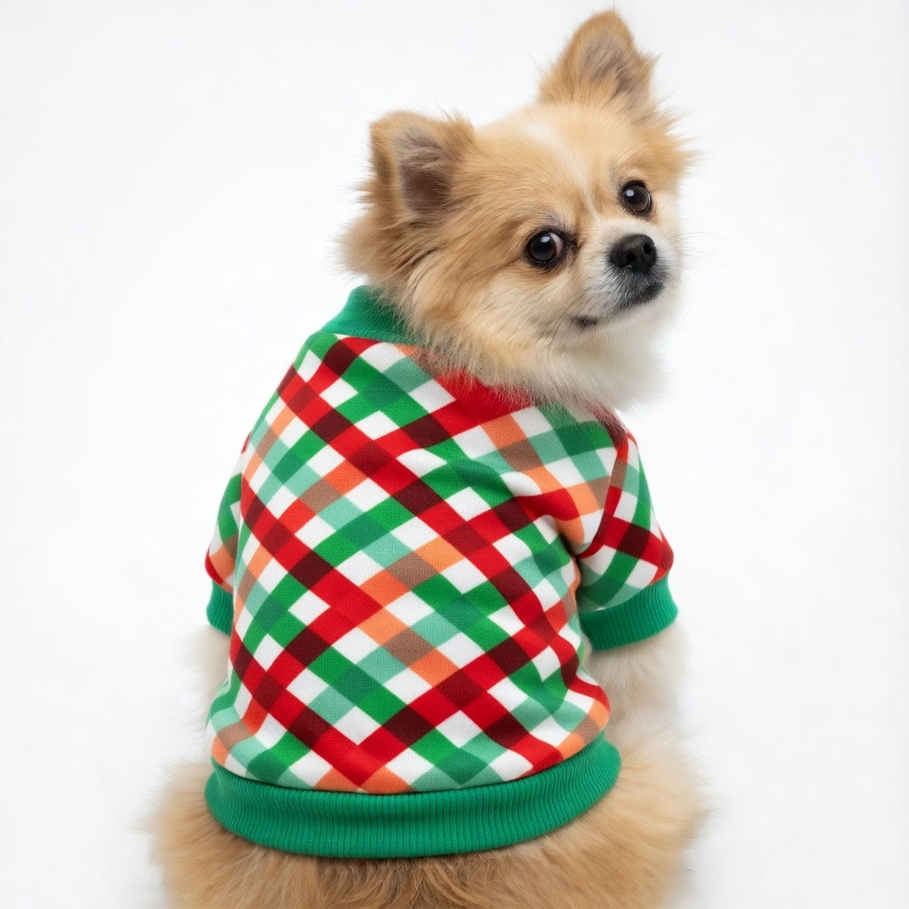 Small dog wearing a red and green Festive Pet Christmas Outfit on a white background