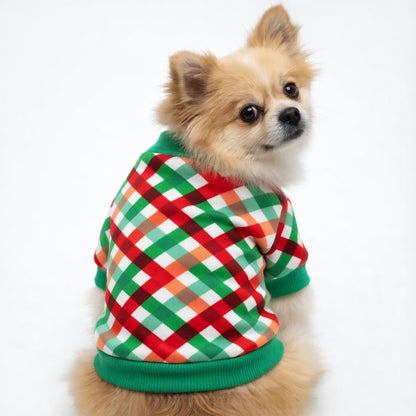 Small dog wearing a red and green Festive Pet Christmas Outfit on a white background