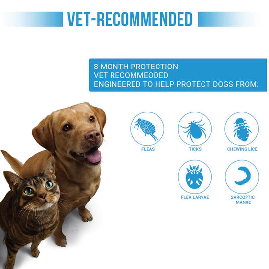 View of Natural Flea and Tick Collar | 8-M Protection for All Pets – Happy Pets