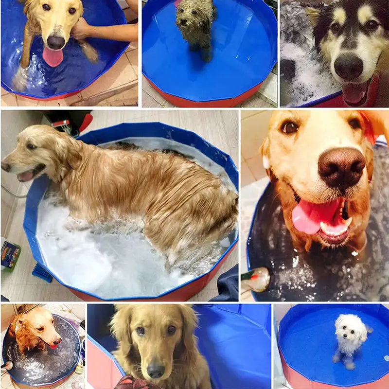 Foldable Dog Pool – Large Pet Swimming and Bathing Supplies pets swimming 