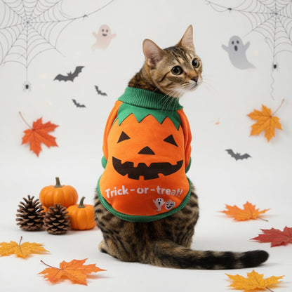 Cat wearing a Halloween Pet Hoodie Costume with 'Trick-or-treat!' text, surrounded by autumn decorations.