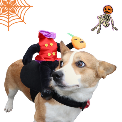 Dog wearing a Halloween costume with a small plush pumpkin and skeleton on a white background.