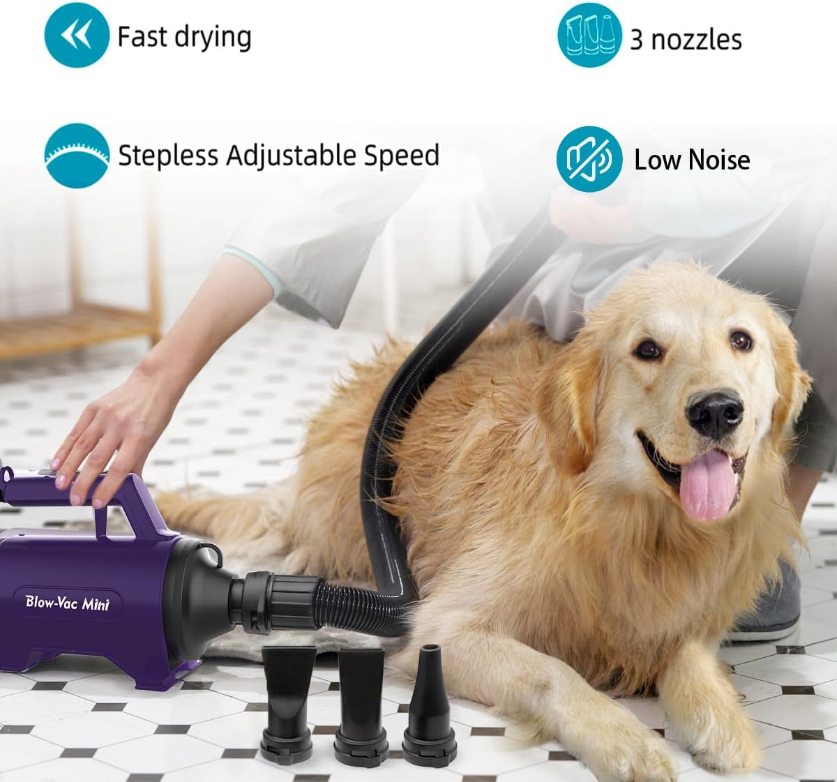 Dog being dried with a pet dryer, featuring text on features like fast drying, three nozzles, stepless adjustable speed, and low noise.