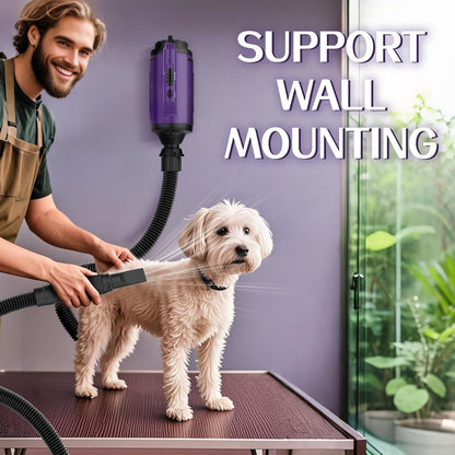 Man grooming a dog with a wall-mounted pet grooming tool in a room with plants.