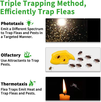 Household Pet Flea Trap – Easy and Safe Flea Control - Happy Pets