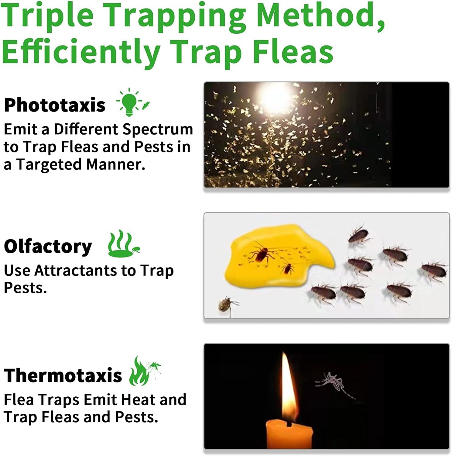 Diagram explaining the triple trapping method for efficiently trapping fleas using phototaxis, olfactory, and thermotaxis.