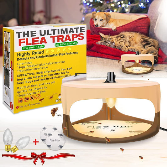 Flea trap with packaging and a dog and cat in the background