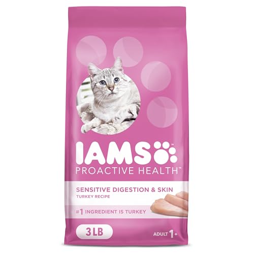 Cat enjoying IAMS Proactive Health Turkey Dry Cat Food – 3 lb bag on display
