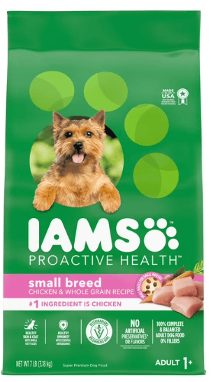 Small breed dog enjoying a bowl of IAMS Chicken Adult Dog Food – 7 lb Bag