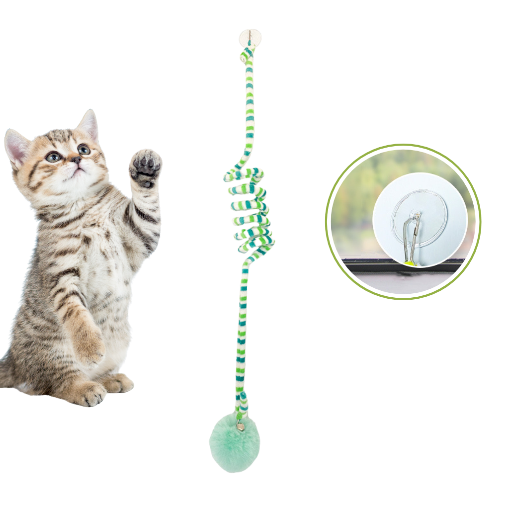 Interactive Cat Hanging Toy AND Teaser Wand for Play Kittens - Happy Pets