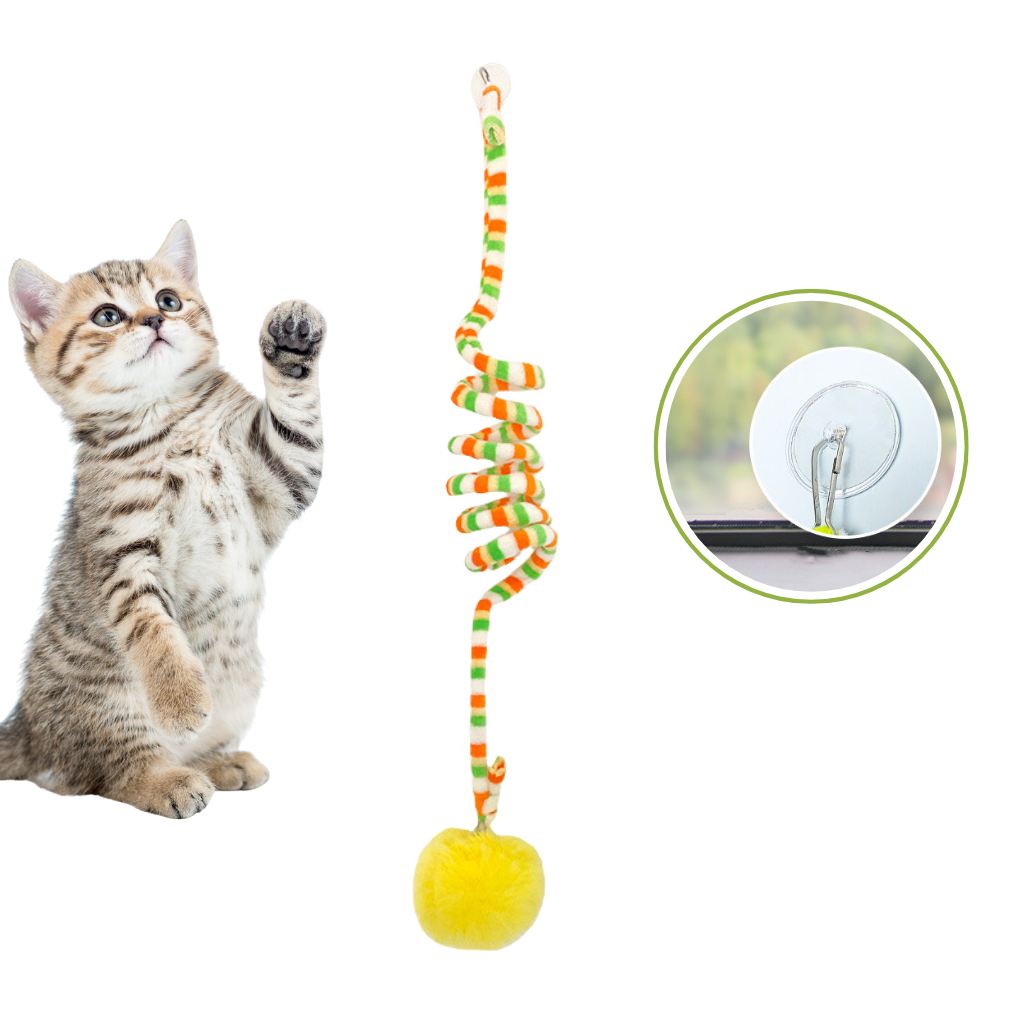 Interactive Cat Hanging Toy AND Teaser Wand for Play Kittens - Happy Pets