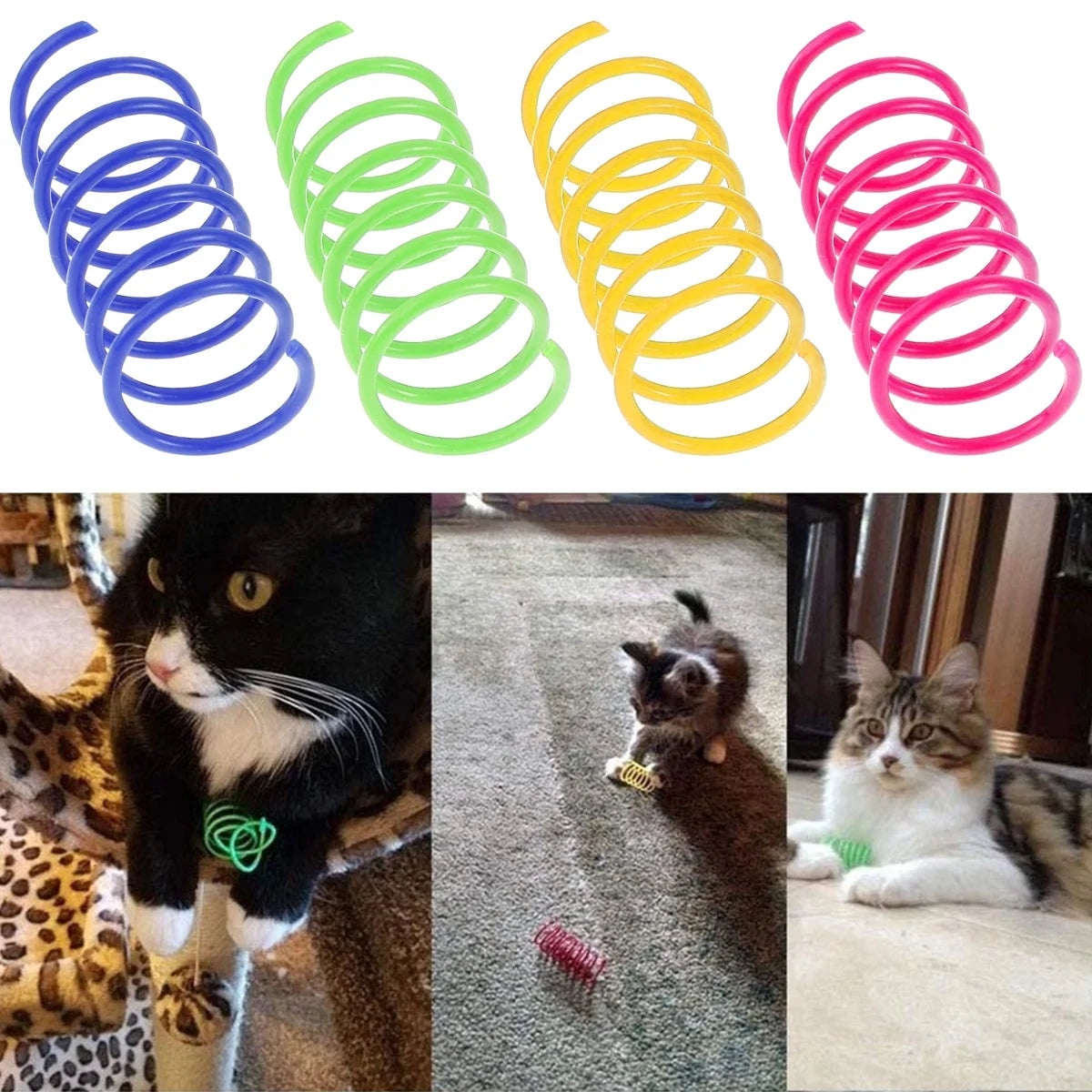 Colorful springs for cats with images of cats playing with them.