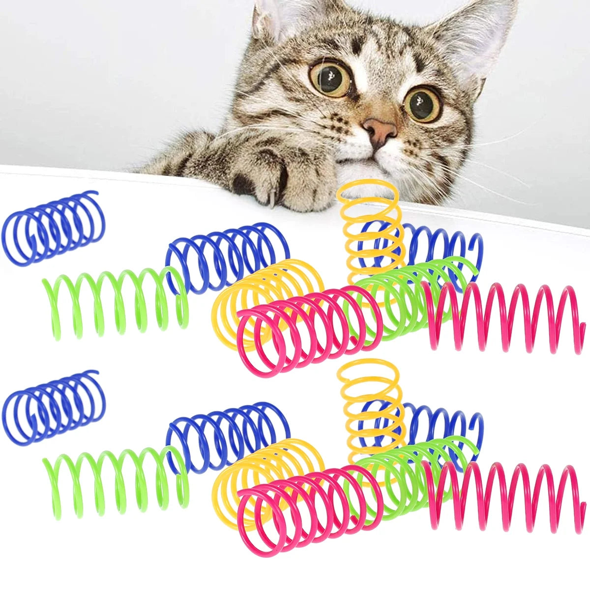 Cat playing with colorful springs on a white background