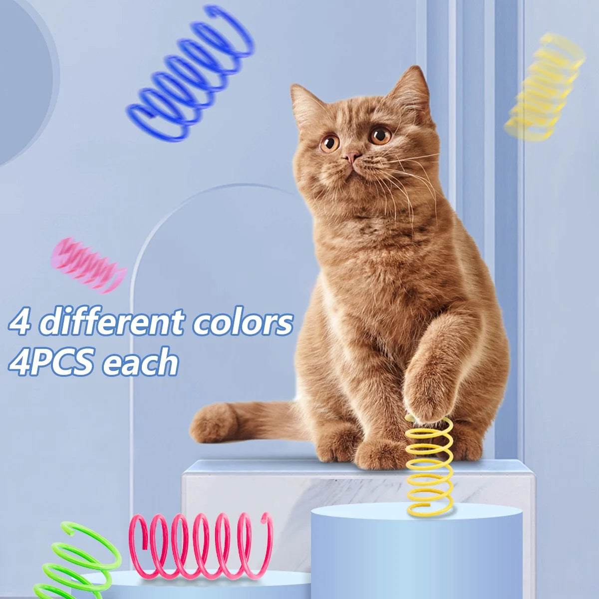 Cat sitting on a platform with colorful springs around, on a light blue background.