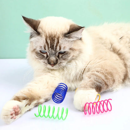 Cat playing with colorful pet toys on a light blue background