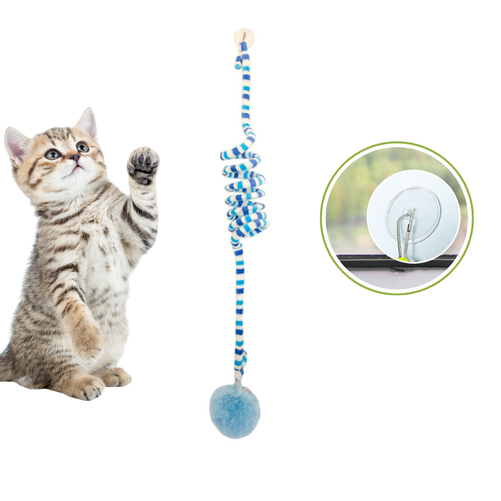 Cat playing with a blue and white rope Interactive Cat Hanging Toy with a ball at the end on a white background.