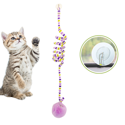 Cat playing with a colorful spiral Interactive Cat Hanging Toy with a ball at the end on a white background.
