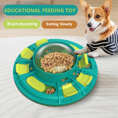 Dog playing with an educational feeding toy designed to encourage slow eating.