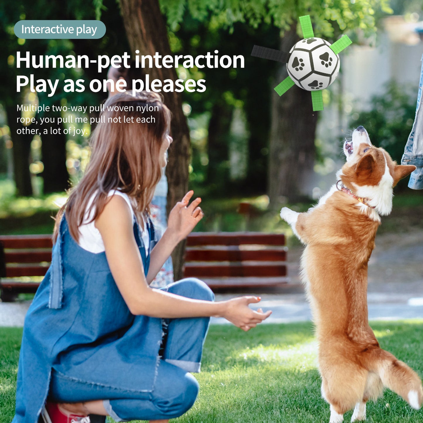 Woman playing with a dog in a park using a toy with text about interactive play.