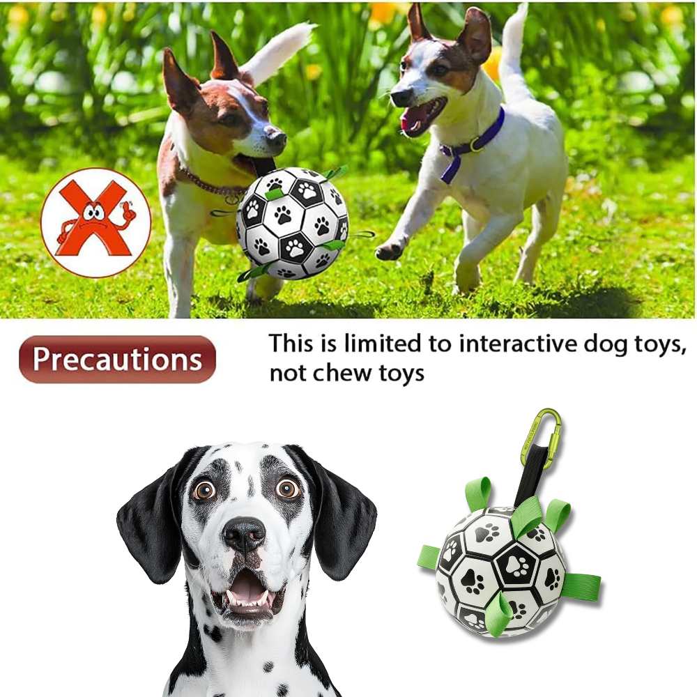 Two dogs playing with an interactive dog soccer ball toy on grass, with a warning label and additional text about dog toys.