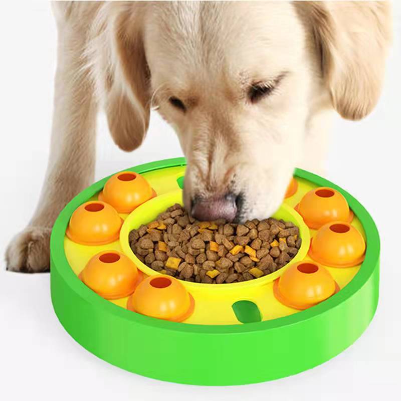 Dog interacting with a green and orange Interactive Pet Puzzle Slow Feeder filled with kibble.