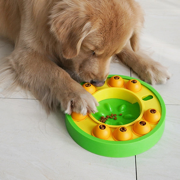 Dog interacting with a green and yellow Interactive Pet Puzzle Slow Feeder on a light wooden floor.
