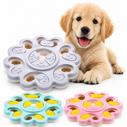 Dog with an Interactive dog puzzle feeder and three other on a white background