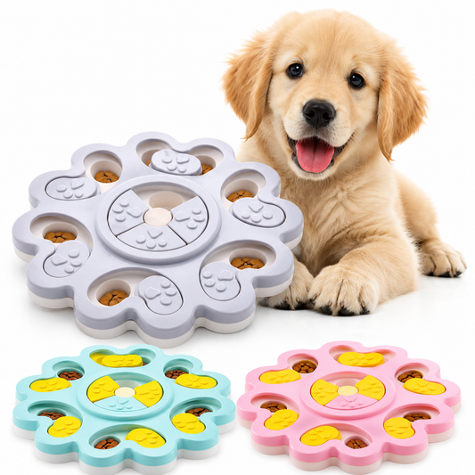 Dog with an Interactive dog puzzle feeder and three other on a white background