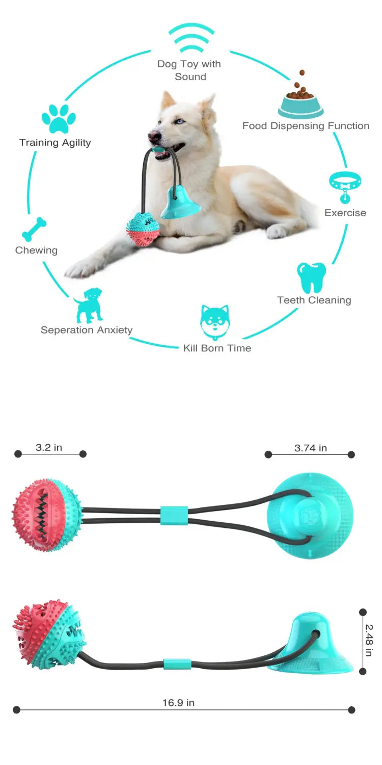 Interactive suction cup benefits and dimensions