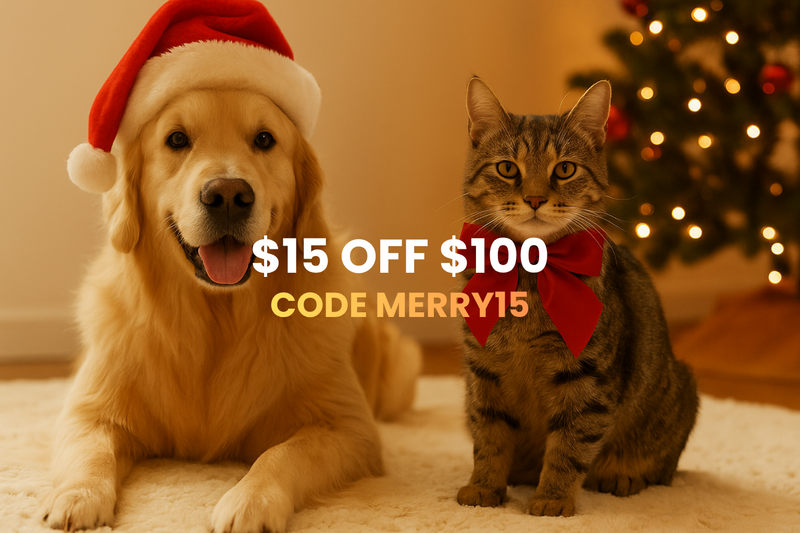 YEP Dog and cat wearing Christmas hats and a bow tie in front of a Christmas tree with promotional text overlay.