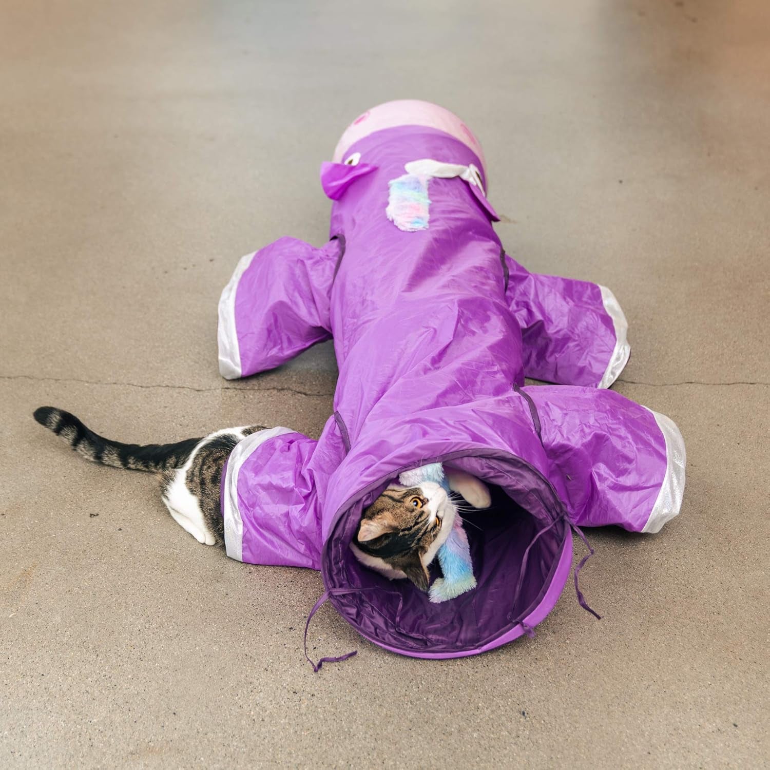 Cat inside a purple snowsuit on a beige floor