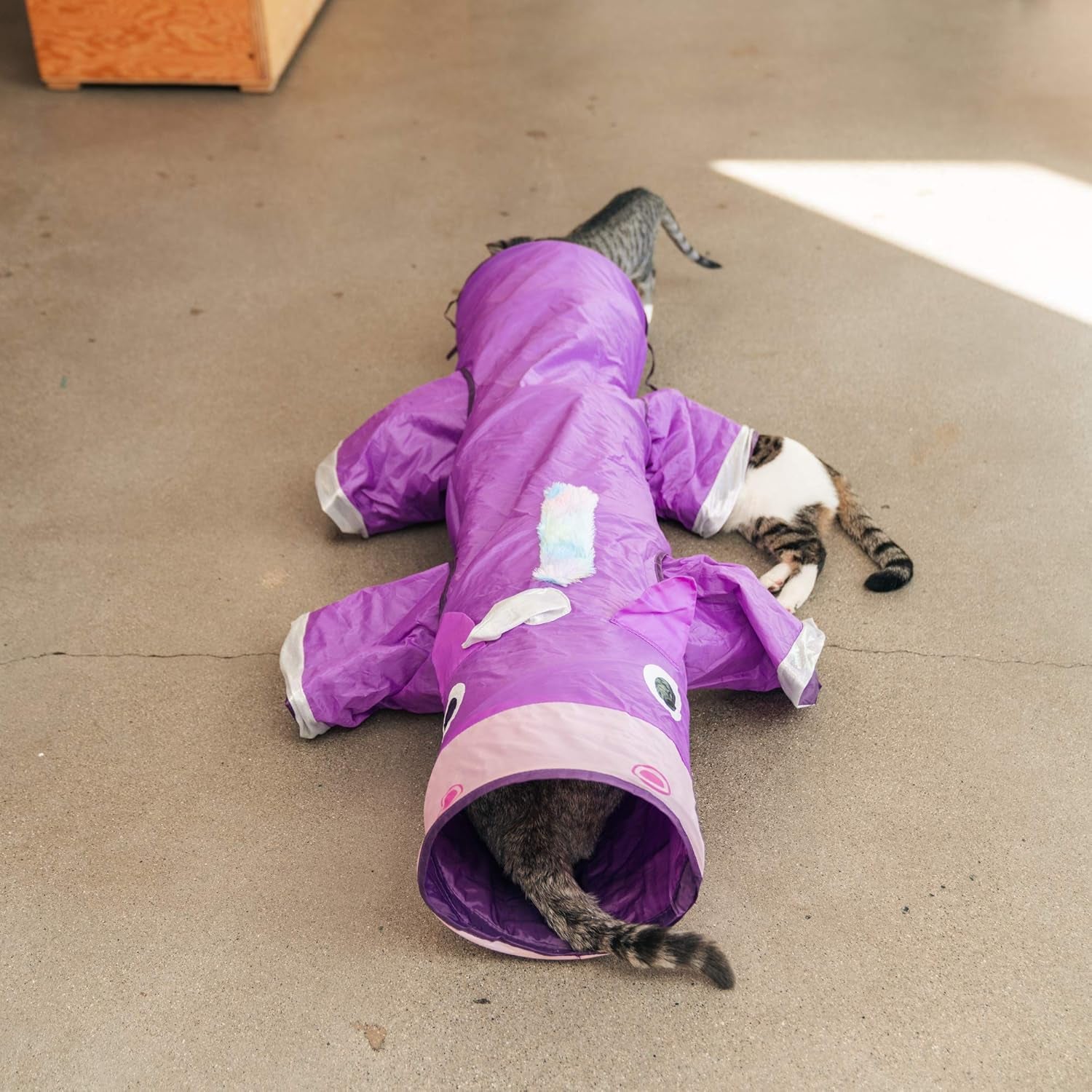 Cat playing with a purple inflatable tube toy on a concrete floor.