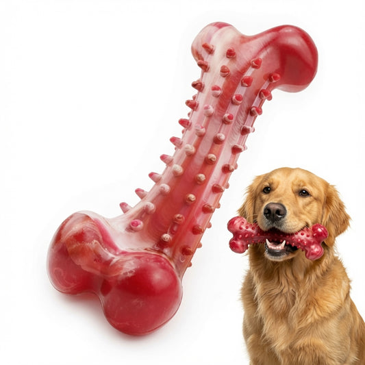Dog holding a red natural rubber chew toy chebone-shaped with a white background 