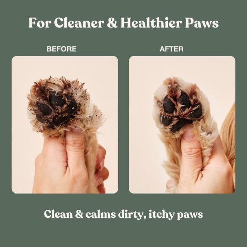 Before and after comparison of a dog paw with cleaning product application on a green background.