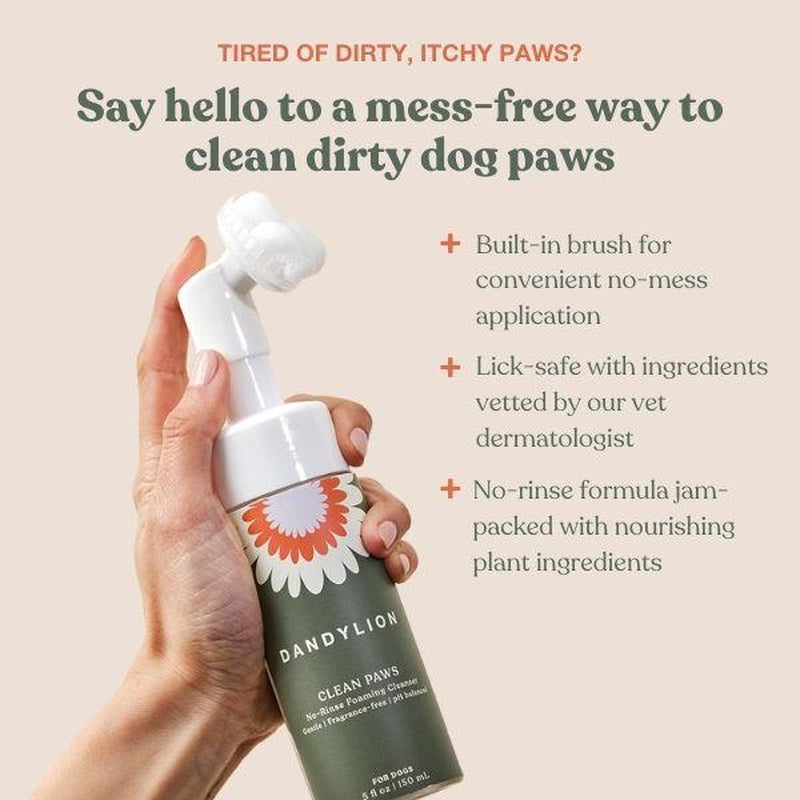 Hand holding a DANDYLIUM Clean Paw's product with promotional text on a beige background
